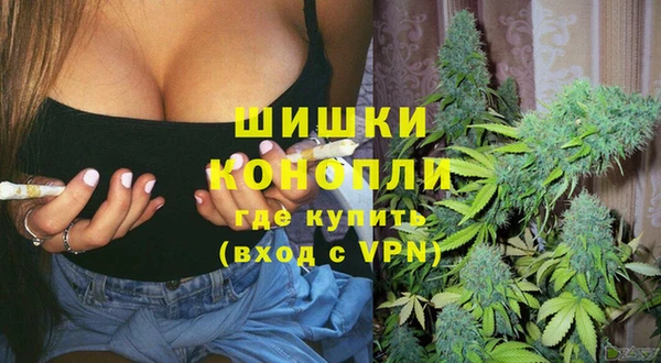 трава Армянск