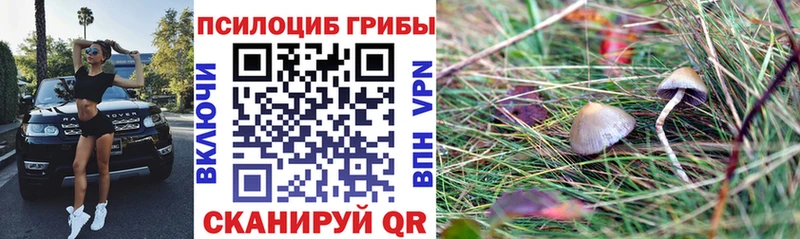 Псилоцибиновые грибы Magic Shrooms  Подпорожье 